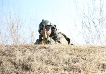 Преподаватель стратегического планирования в Школе военных исследований армии США Мэттью Шмидт в авторской колонке для CNN заявил, что наиболее вероятным сценарием завершения конфликта на Украине является заморозка боевых действий