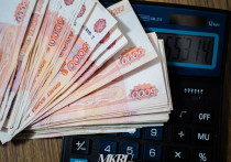 Забайкальские депутаты в итоговом, третьем, чтении приняли проекта бюджета региона на 2024 год и плановый период на 2025-2026 года