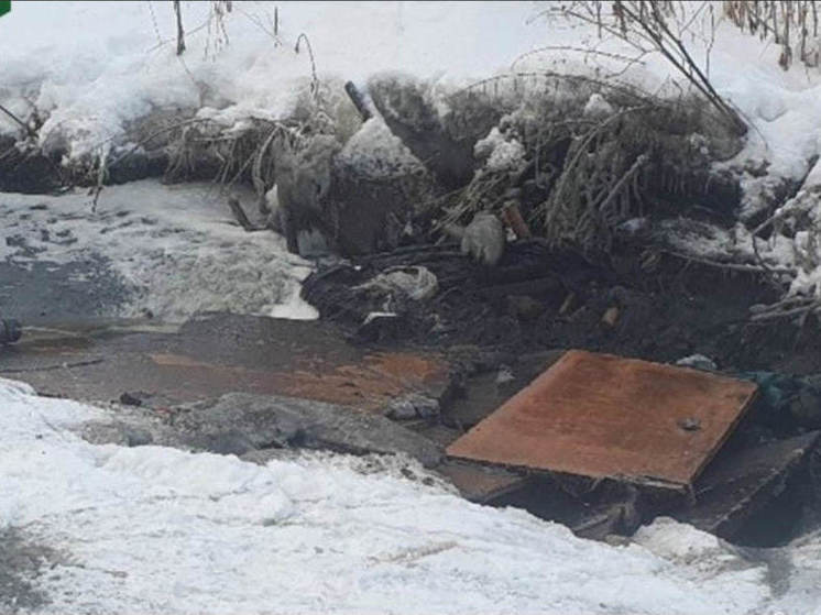 Житель Пензенской области вылил содержимое выгребной ямы на землю
