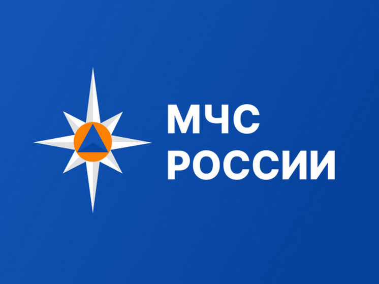 Сотрудники МЧС Херсонской области потушили пожар