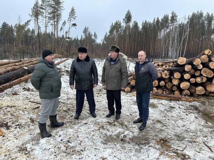 В Пензенской области разбираются с последствиями урагана