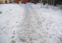 За неделю жители Белгородской области оставили 2900 обращений, связанных с плохой уборкой снега и наледи