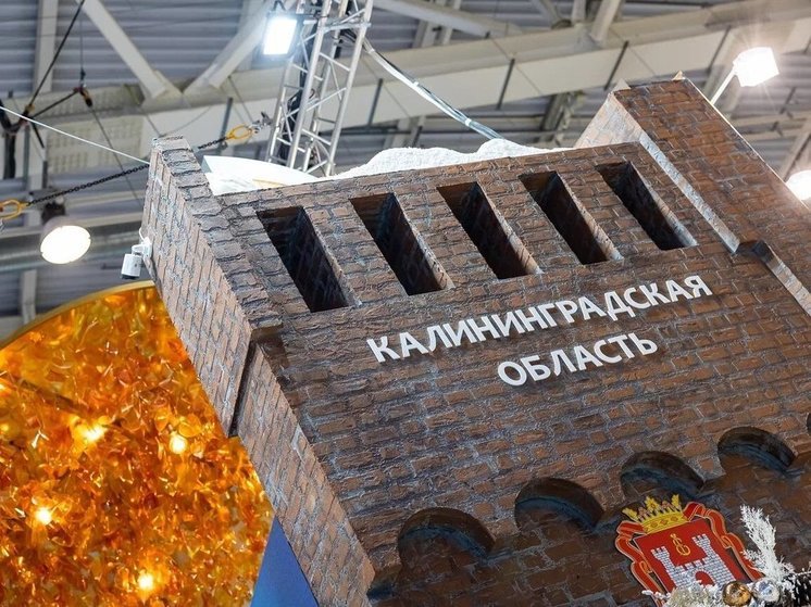 Выставка «Россия»: что презентовала Калининградская область