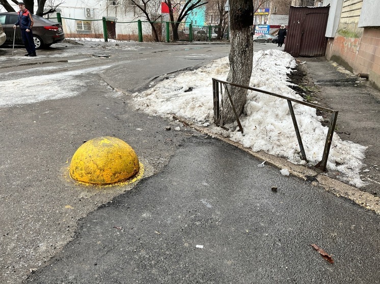 В Саратове проснулись дождевые черви