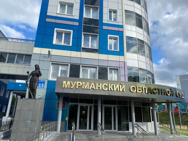 Поддерживающий запрещенное движение мурманчанин предстанет перед судом
