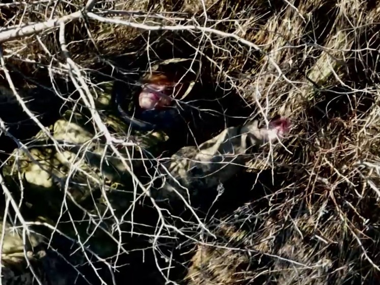 Saldo: Russian military rescued a wounded Ukrainian soldier abandoned by their own