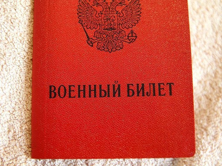 Правительство не поддержало проект о прекращении гражданства России за уклонение от военной службы