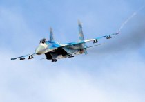Выяснилось, почему ВСУ активизировали свою авиацию в Крынках

