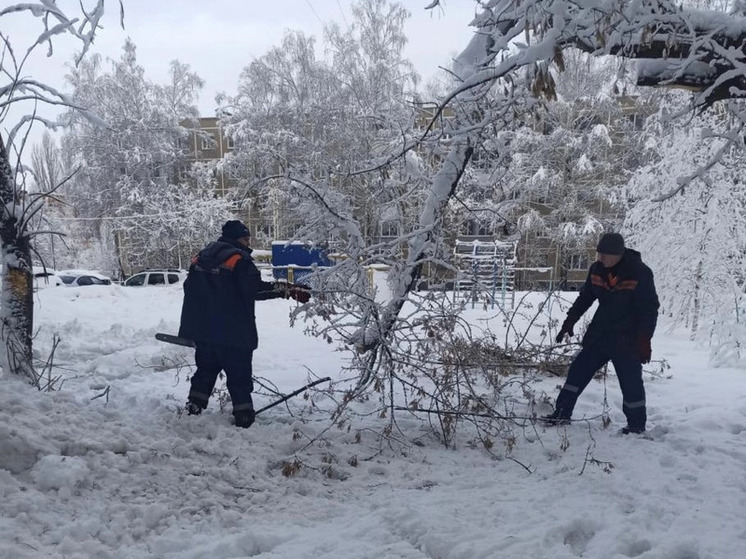 Ночью 25 декабря в Рязани распилили 70 упавших деревьев