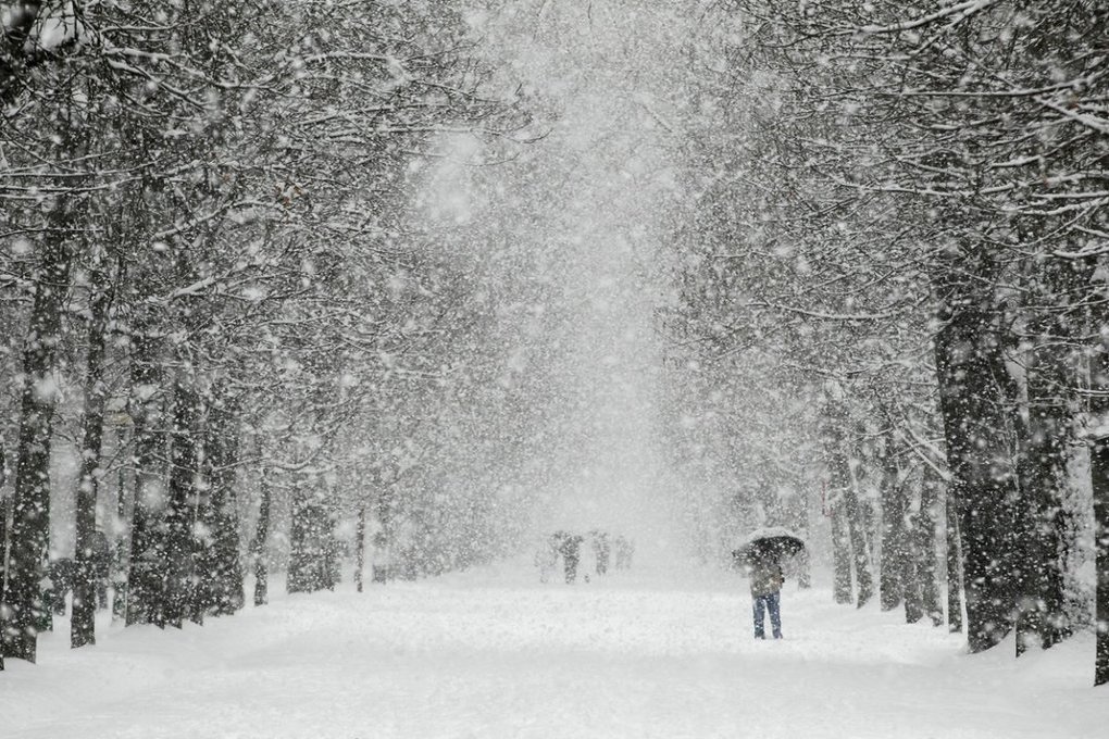 На Кострому опять надвигается снегопад