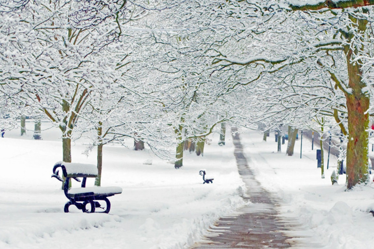 26 декабря в Ивановской области ожидается зимняя погода с небольшим снегом
