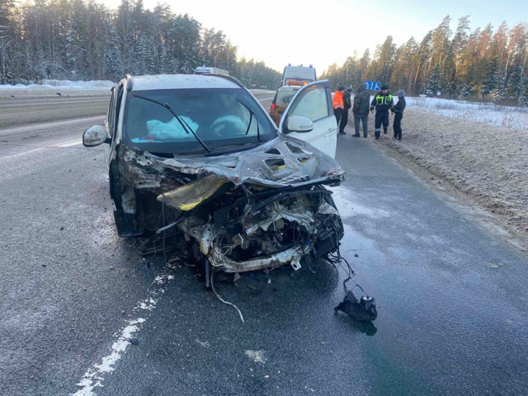 Во Владимирской области произошло 512 ДТП за неделю