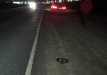 В Сакмарском районе в ДТП погиб пешеход