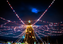 В Астрахани на традиционной елке, установленной на разворотном кольце "Мостстроя" в Трусовском районе, были включены новогодние огни