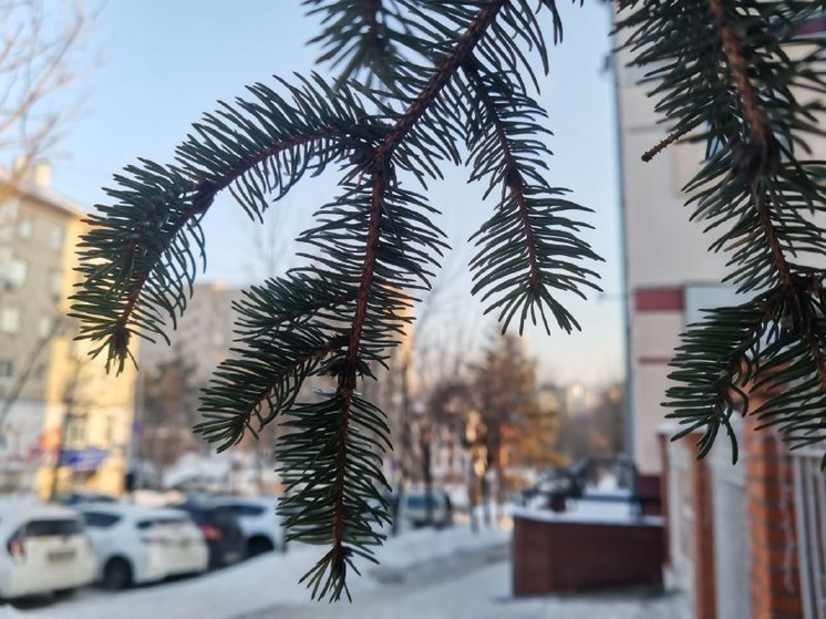 В Хабаровске 26 декабря погода будет безветренной и не морозной