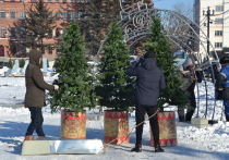 Погода на новогодние праздники 2024 в Хабаровске - прогноз на каждый день в материале «МК»