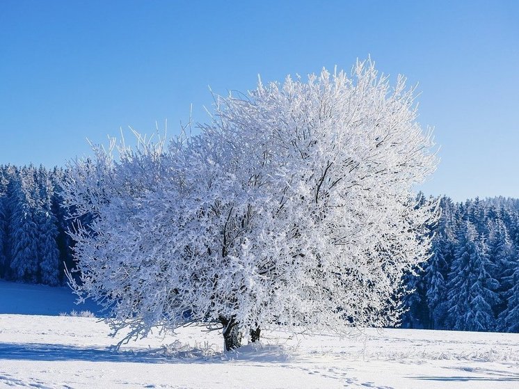 Леус: вторник в Москве начался с суточного рекорда низкого атмосферного давления