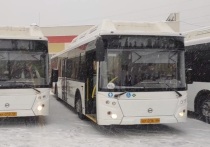 В Верхней Пышме на маршруты выйдут пять новых автобусов