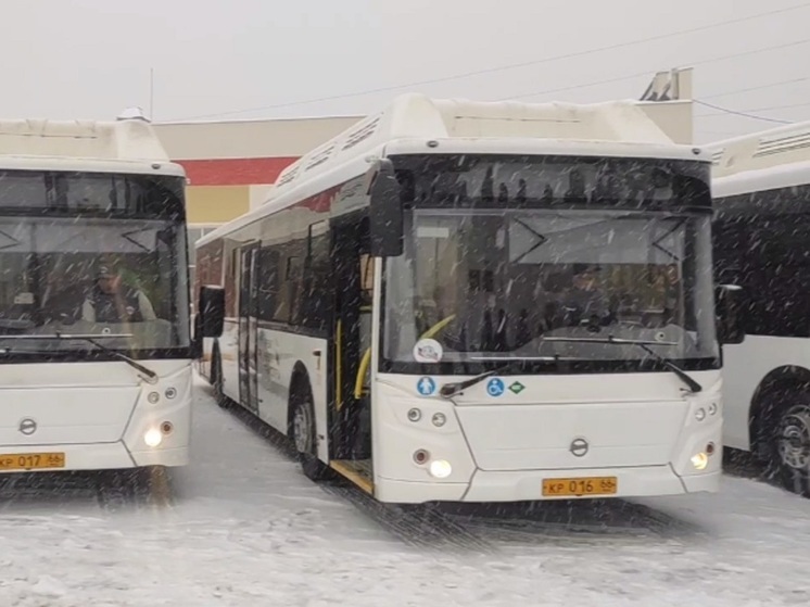 Новые автобусы будут перевозить пассажиров в Верхней Пышме
