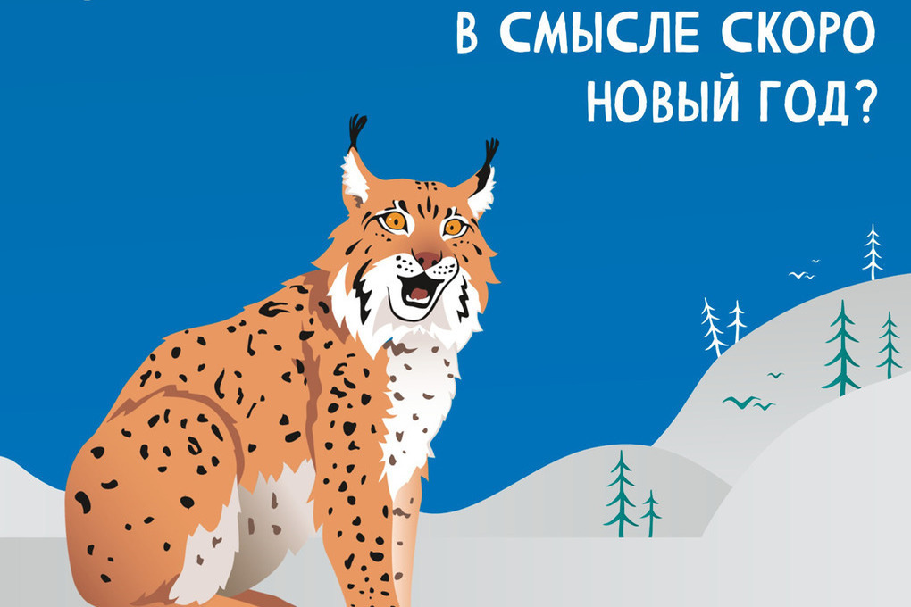 Новым символом ООПТ Мурманской области стала рысь
