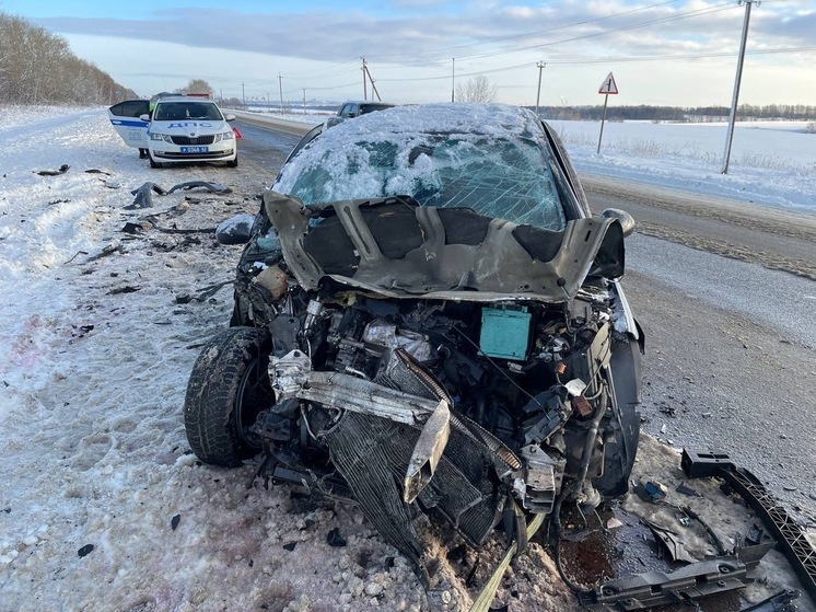 В ДТП на трассе Р-132 под Рязанью пострадали два водителя и два ребёнка