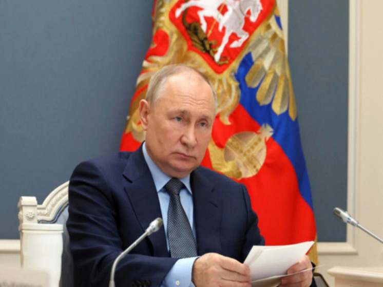 Читатели Die Welt раскритиковали обращение генсека НАТО к Путину