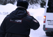 Автомобиль «Ягуар» врезался в стену дома в Новой Москве