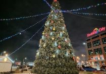 Открытие главной городской елки в Омске запланировано на вечер 28 декабря