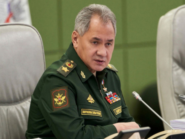 Шойгу: российские военные идут к достижению целей спецоперации