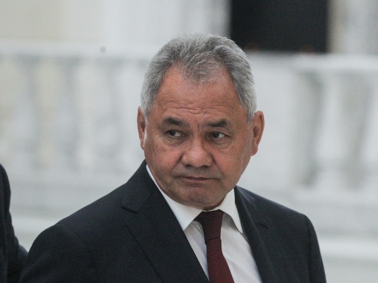 Шойгу рассказал о кратном наращивании выпуска оружия в России