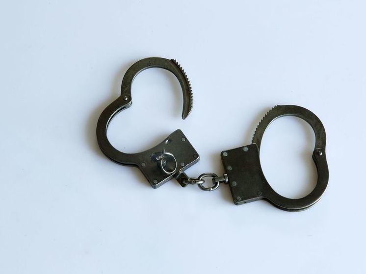 Силовики задержали главу Кургана Елену Ситникову