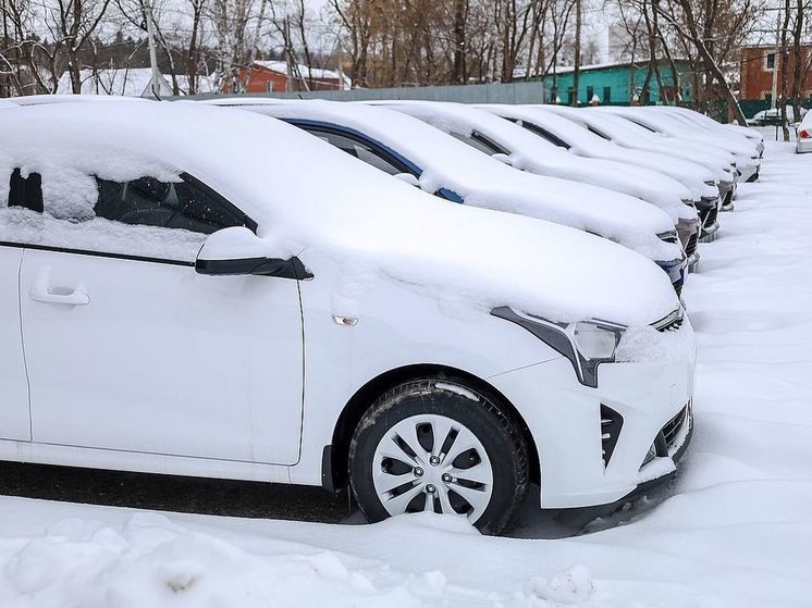 Автоэксперт Рогов рассказал о наличии схемы доставки автомобилей из Южной Кореи