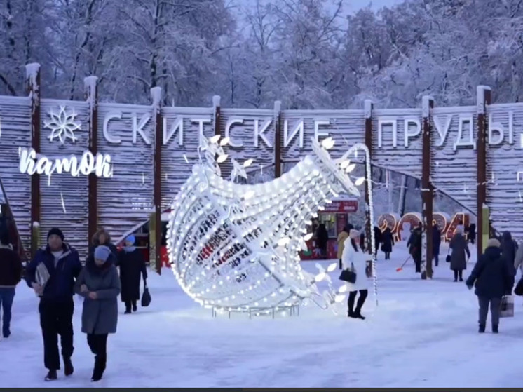 Почти 30 катков с искусственным льдом организовали в Подмосковье