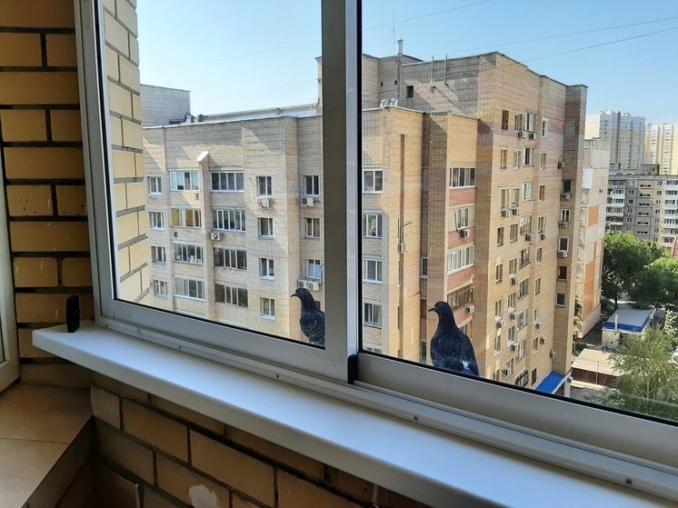Саратов попал в топ-10 городов по росту цен на вторичное жильё