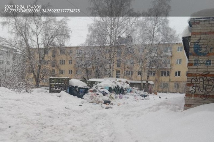 Специалисты отчитались об уборке мусора во дворе Петрозаводска