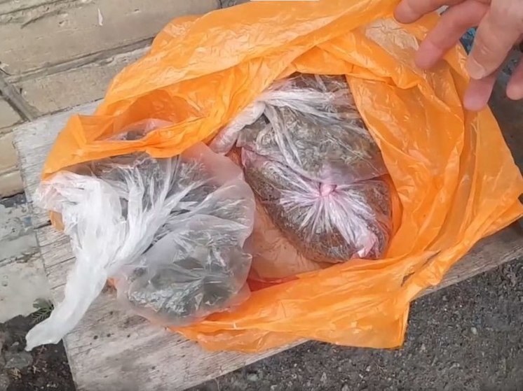У жителя Генического округа на Херсонщине нашли наркотики