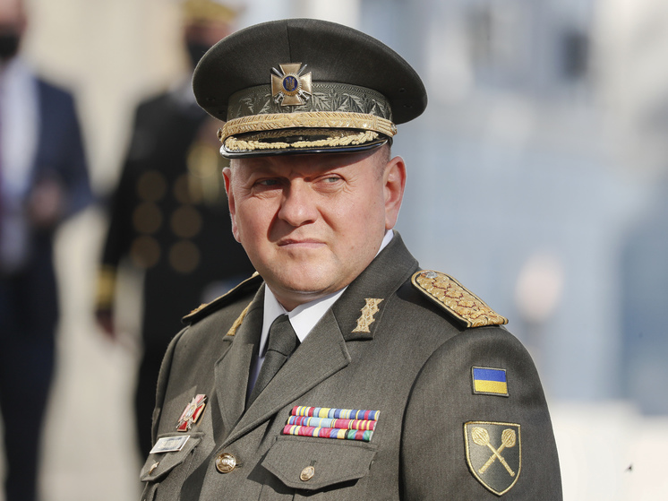 Залужный подтвердил, что украинские войска ушли из Марьинки