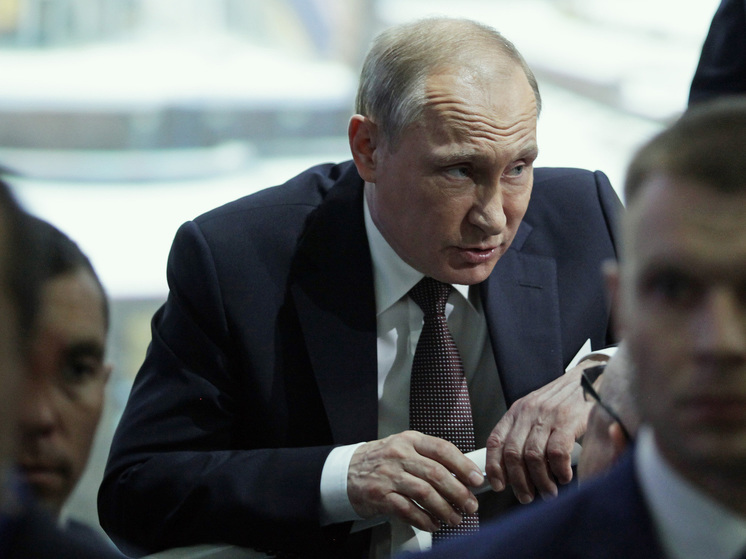 Владимир Путин рассказал лидерам стран СНГ про заповедник в Гатчине