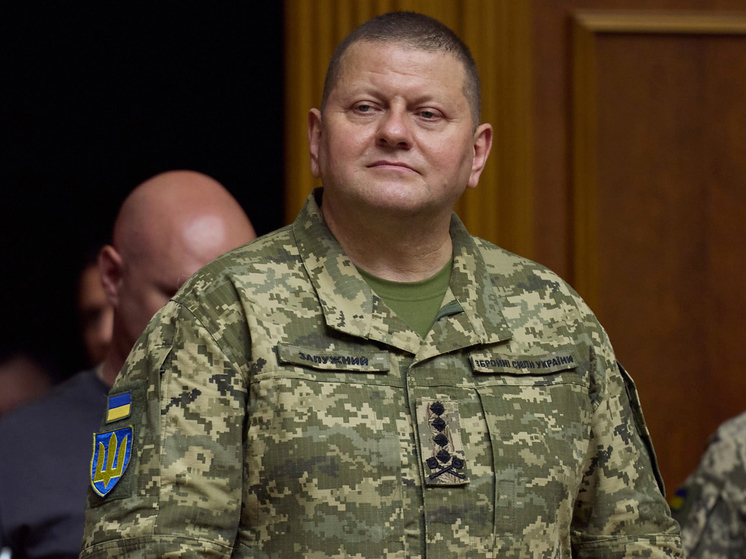 Главком отказывается отвечать за ужасы украинской мобилизации