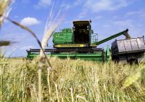 Правительство РФ установило размер квоты на экспорт зерновых в 2024 году на уровне 24 млн тонн