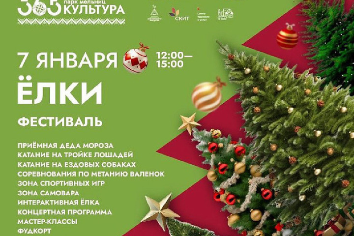 В «Парке мельниц» в Курской области для фестиваля «Ёлки» установят 28 елей