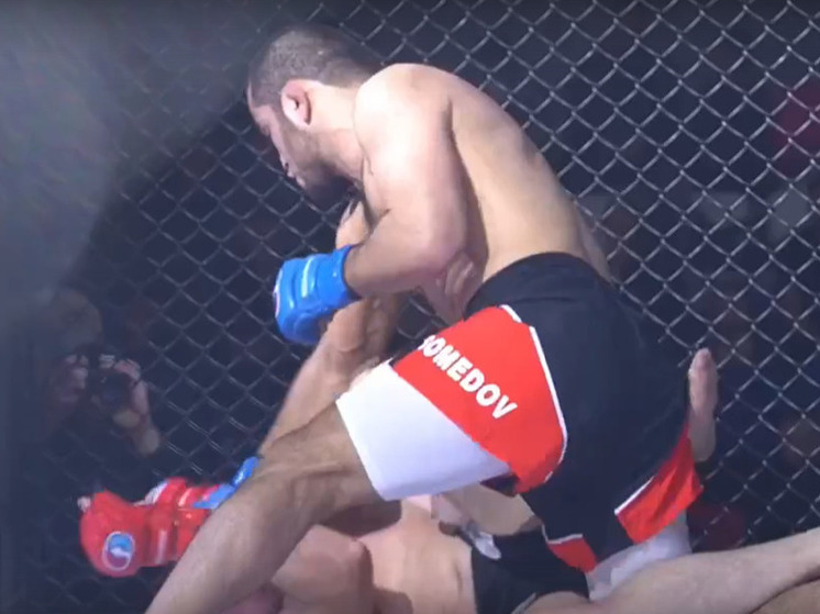 Турнир по смешанным боевым единоборствам состоялся в ДНР