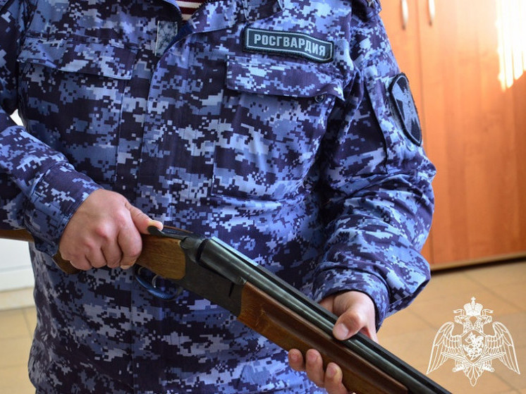 Тамбовские росгвардейцы за неделю изъяли 20 единиц оружия