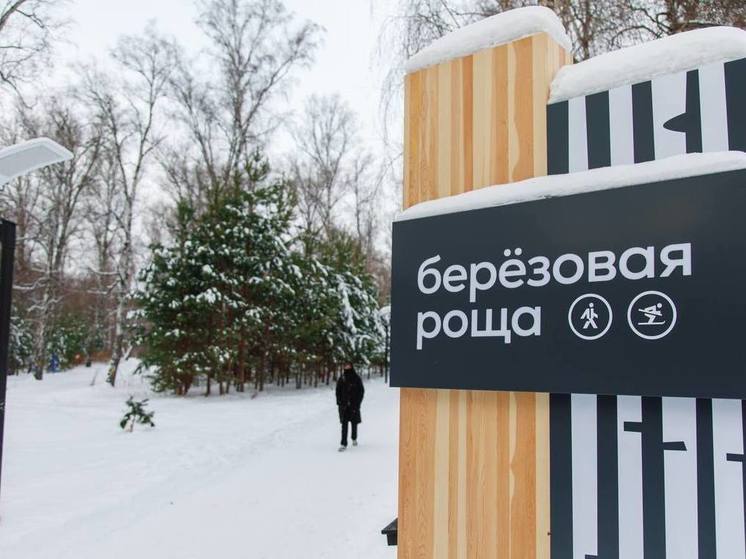 В Красноярске открылся экопарк «Березовая роща» для активного отдыха