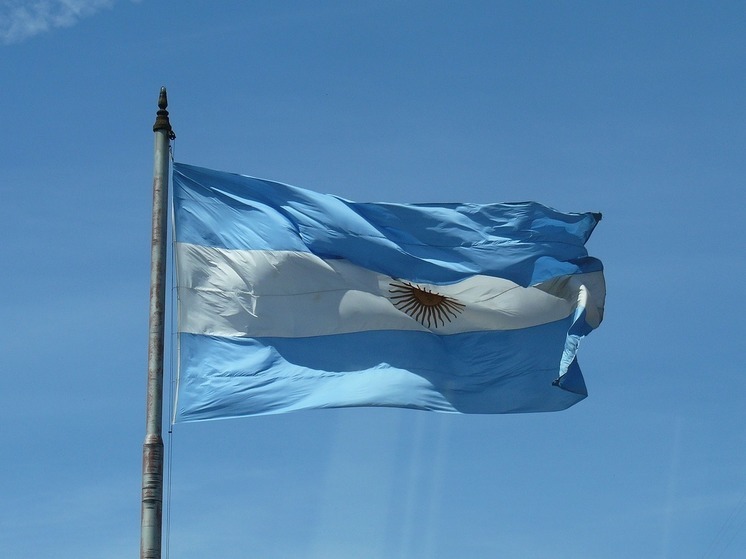 Президент Аргентины Милей созовет референдум, если парламент отвергнет его реформы