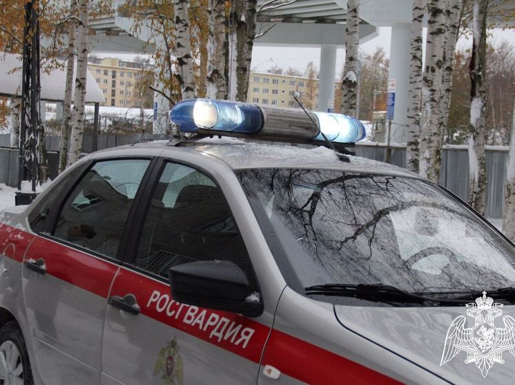 Пьяный пенсионер украл товары для животных в магазине Петрозаводска