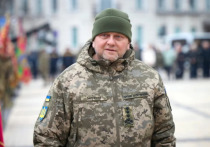 После поражения украинской армии главком ВСУ Валерий Залужный попросил у Запада больше помощи, которая заключается в предоставлении вооружения и людей, пишет Newsweek
