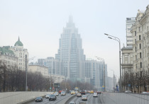 В Москве в новогоднюю ночь ожидается ноль - минус 2 градуса, сообщил ведущий специалист центра погоды "Фобос" Михаил Леус