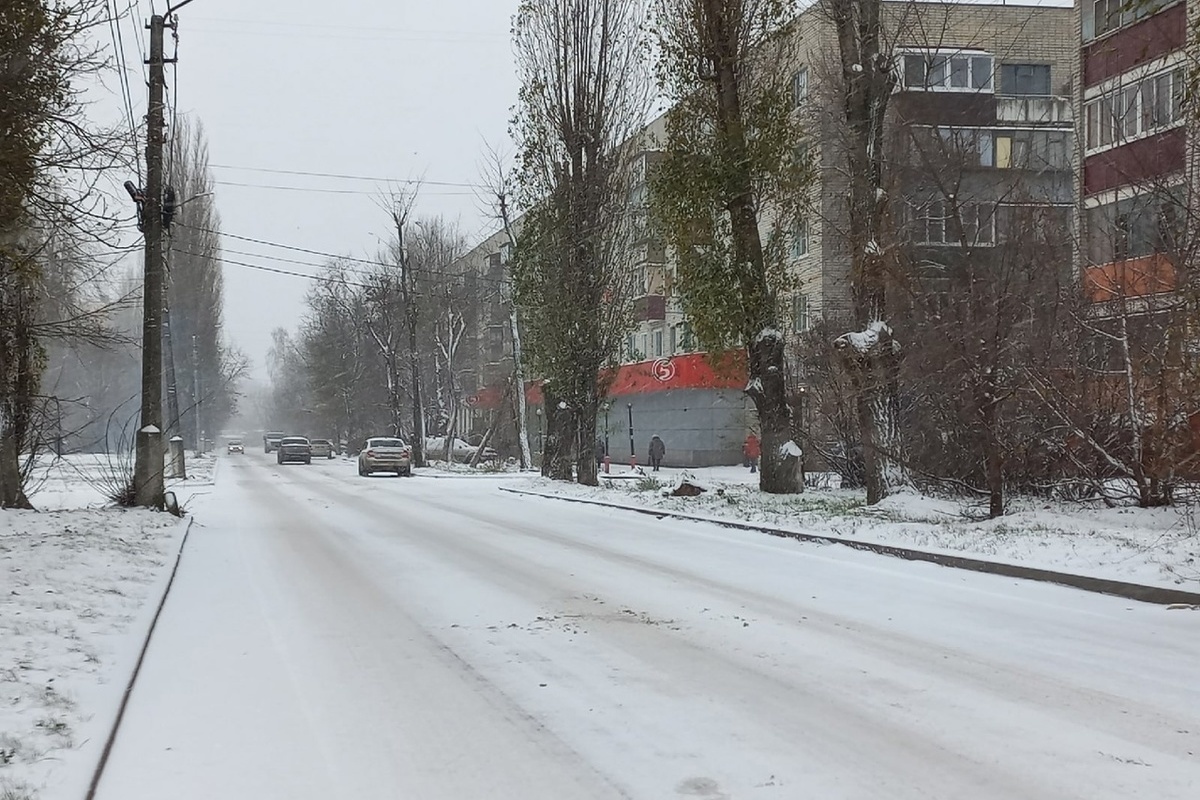 В Курской области 28 декабря ожидаются дожди при +1 градусе
