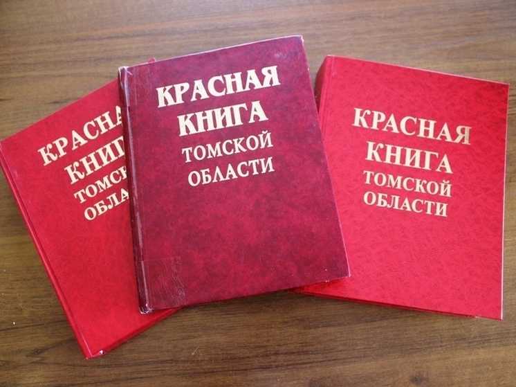 Красношейная поганка и ктырь горбатый: вышло третье издание Красной книги Томской области